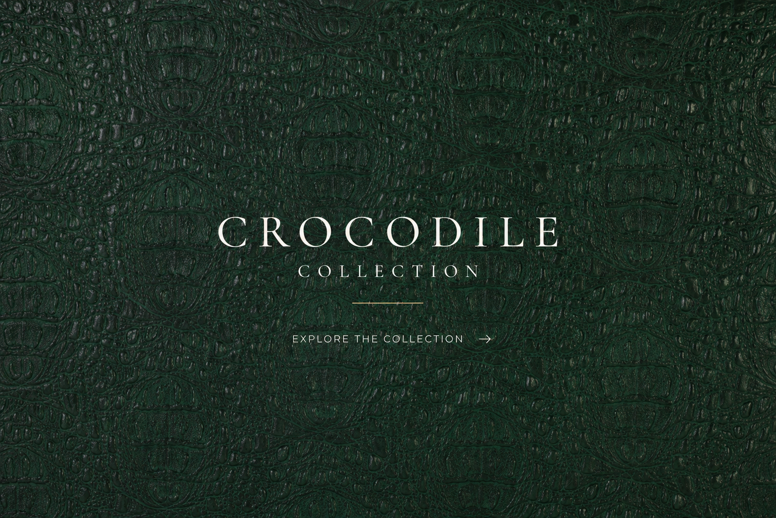 Crocodile