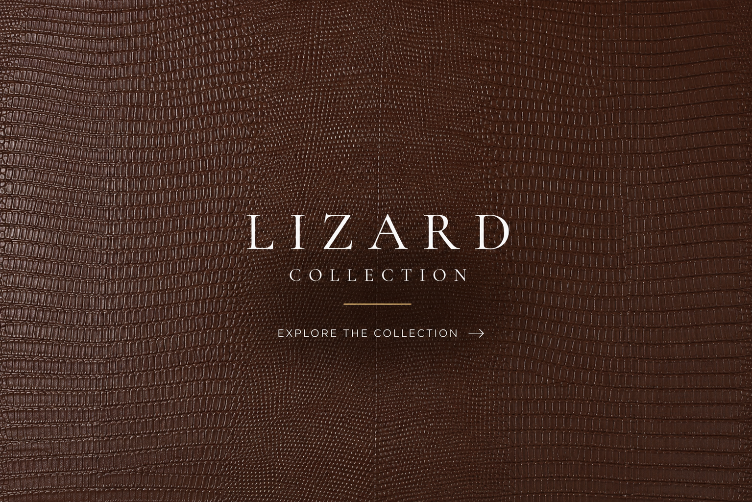 Lizard