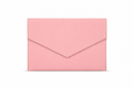 THE WEDGE PINK LAPTOP SLEEVE